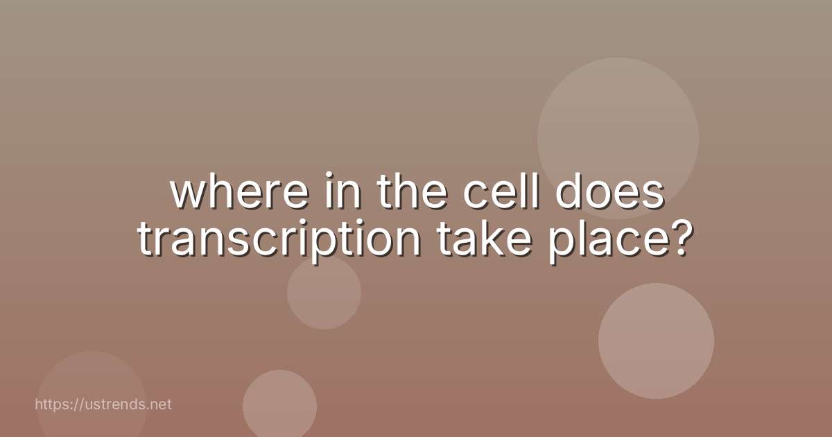 where in the cell does transcription take place?