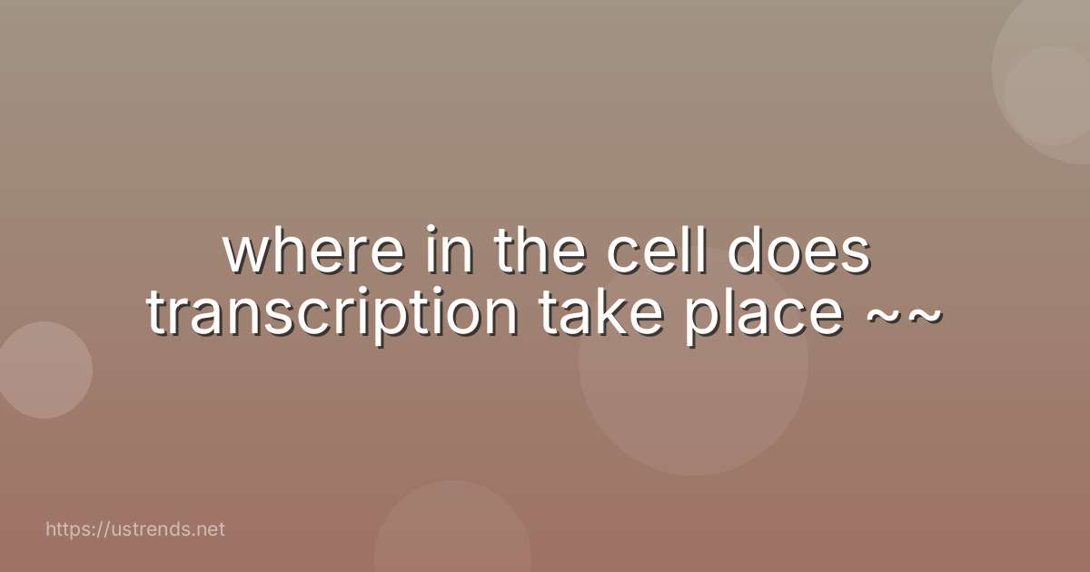 where in the cell does transcription take place ~~