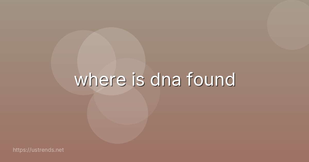 where is dna found