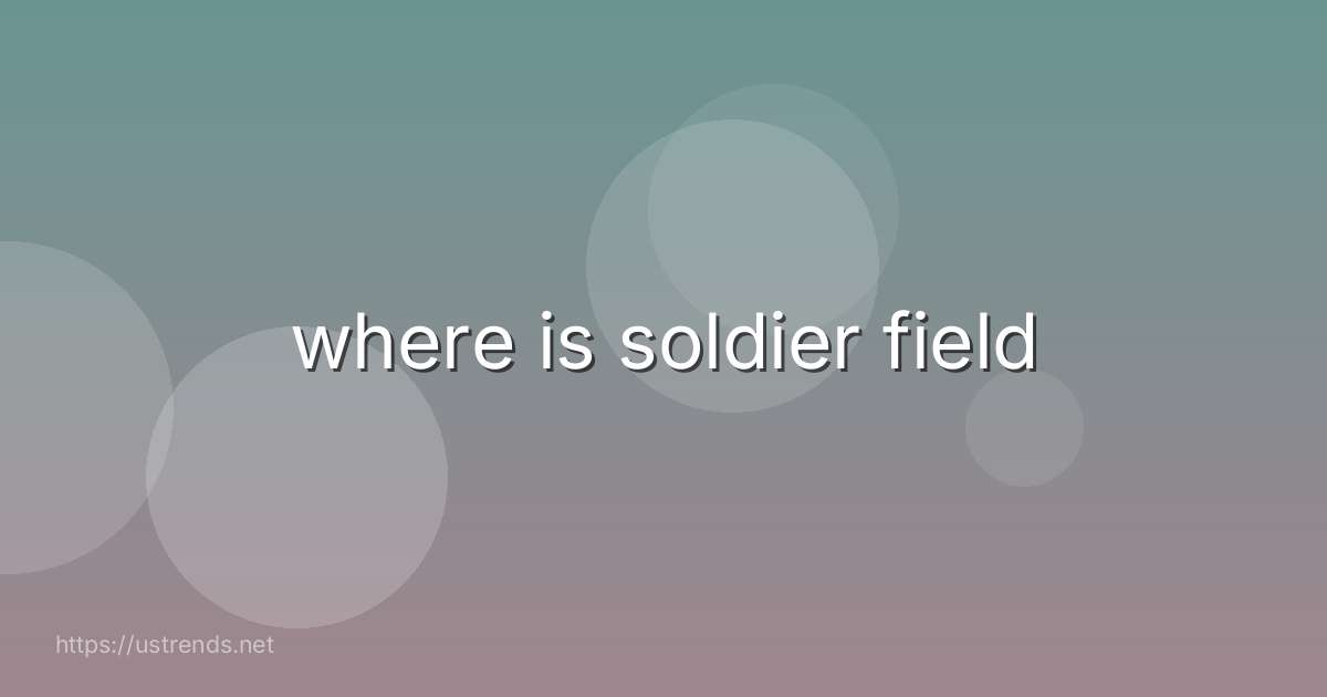 where is soldier field