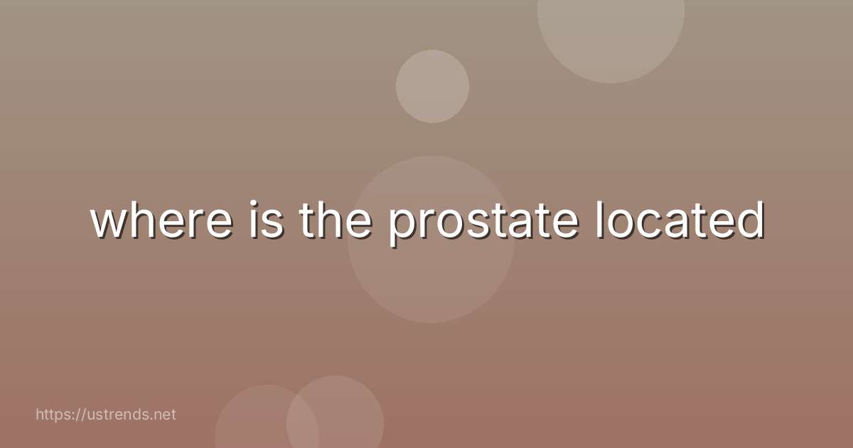 where is the prostate located