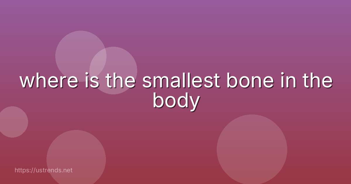 where is the smallest bone in the body
