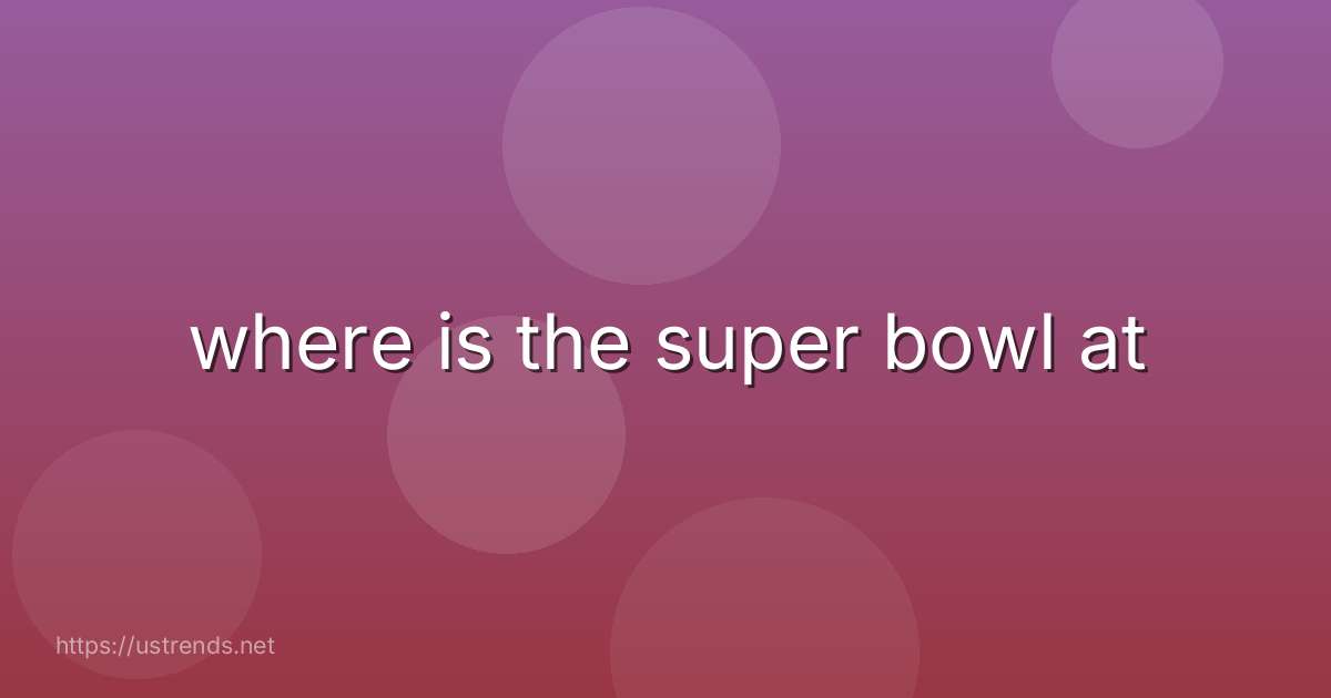 where is the super bowl at