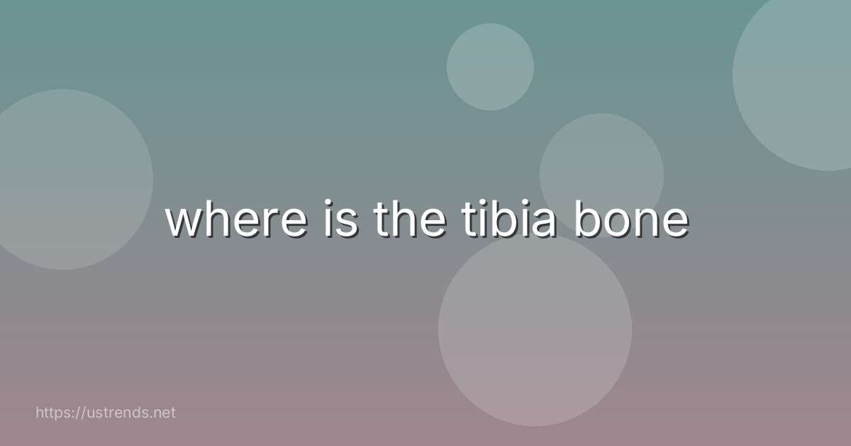 where is the tibia bone