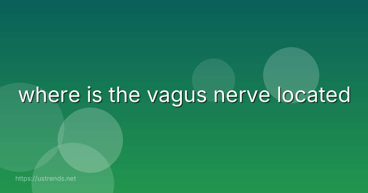 where is the vagus nerve located