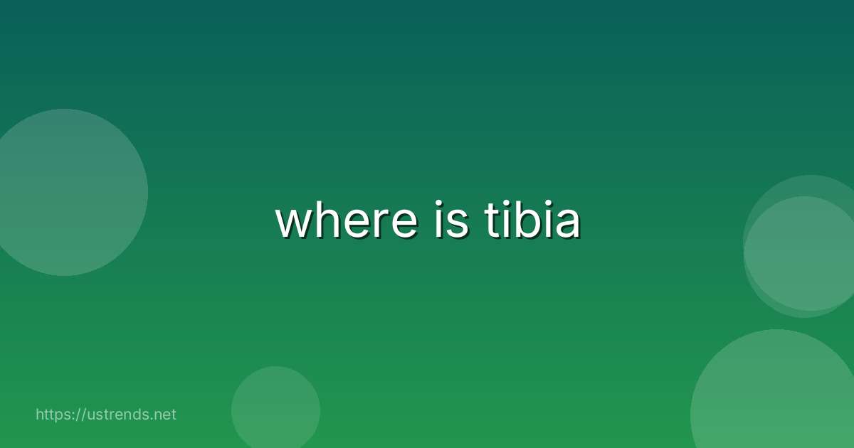 where is tibia