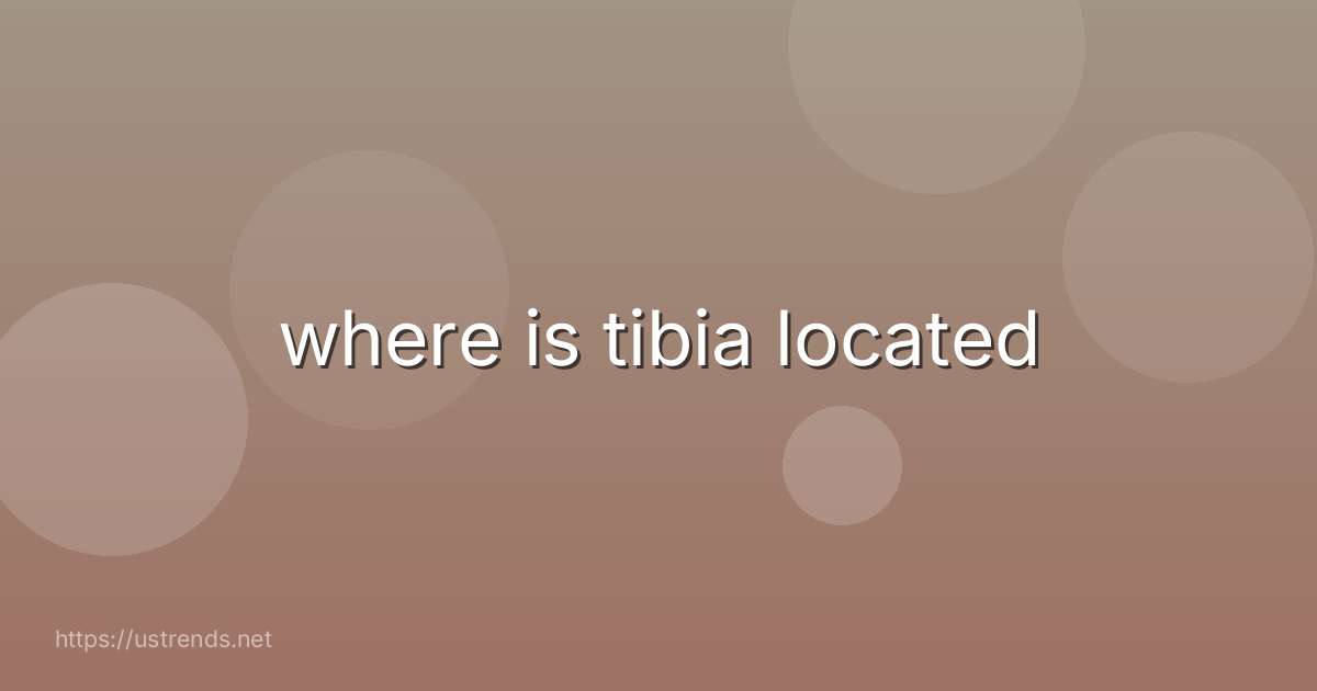 where is tibia located