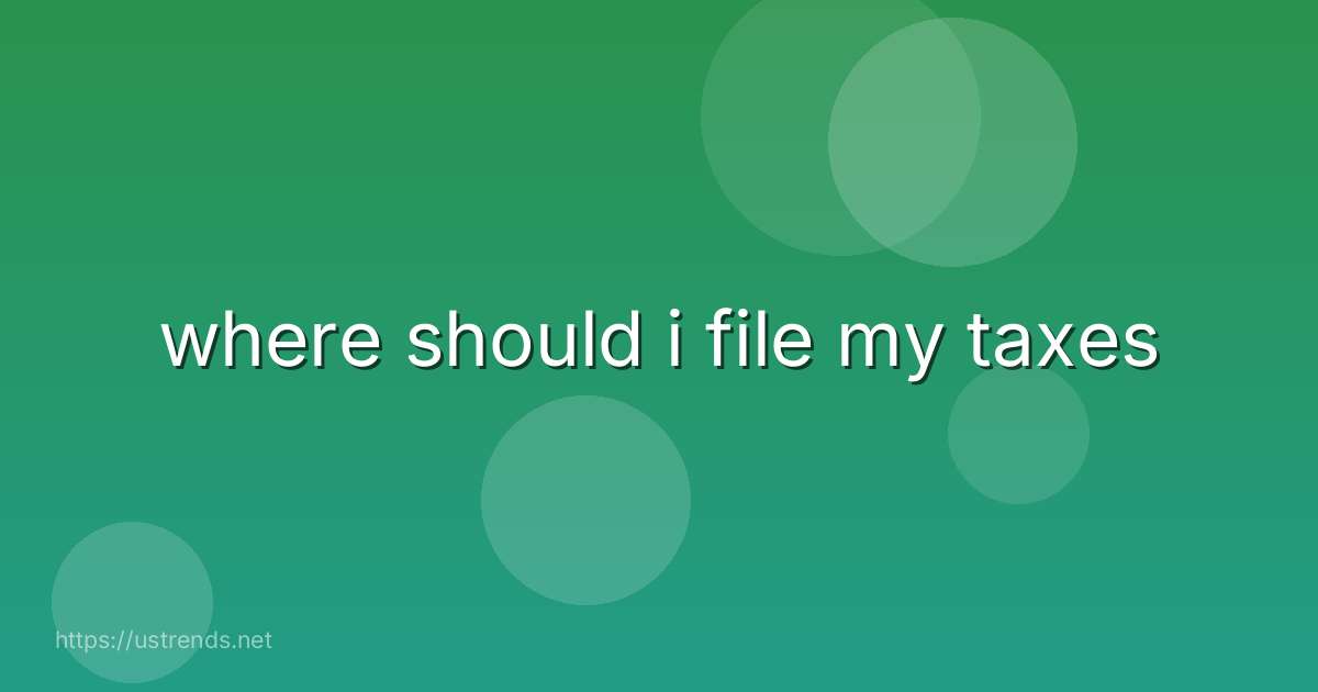 where should i file my taxes