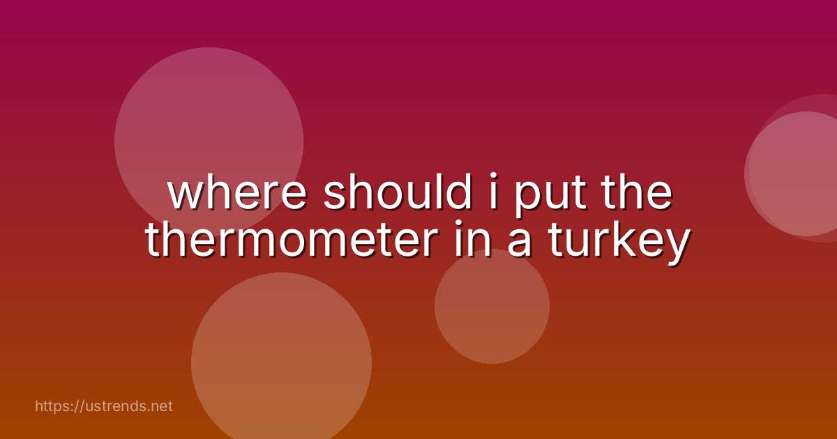 where should i put the thermometer in a turkey