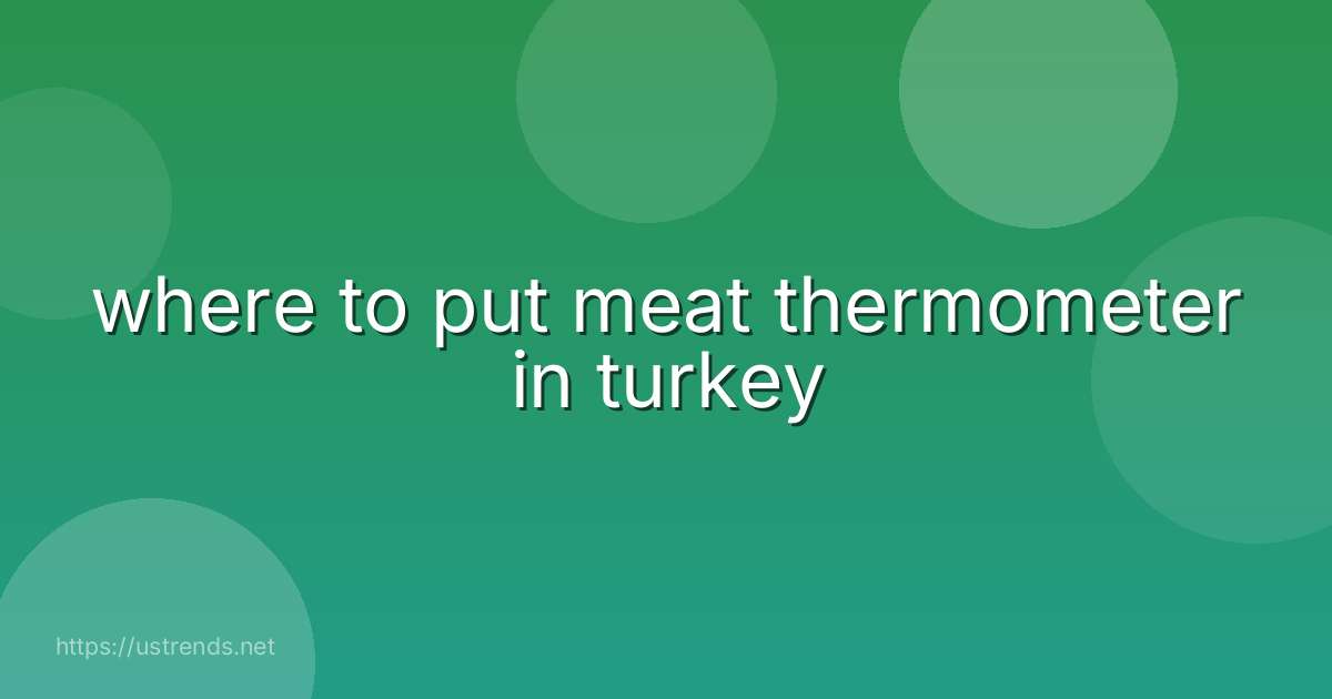where to put meat thermometer in turkey