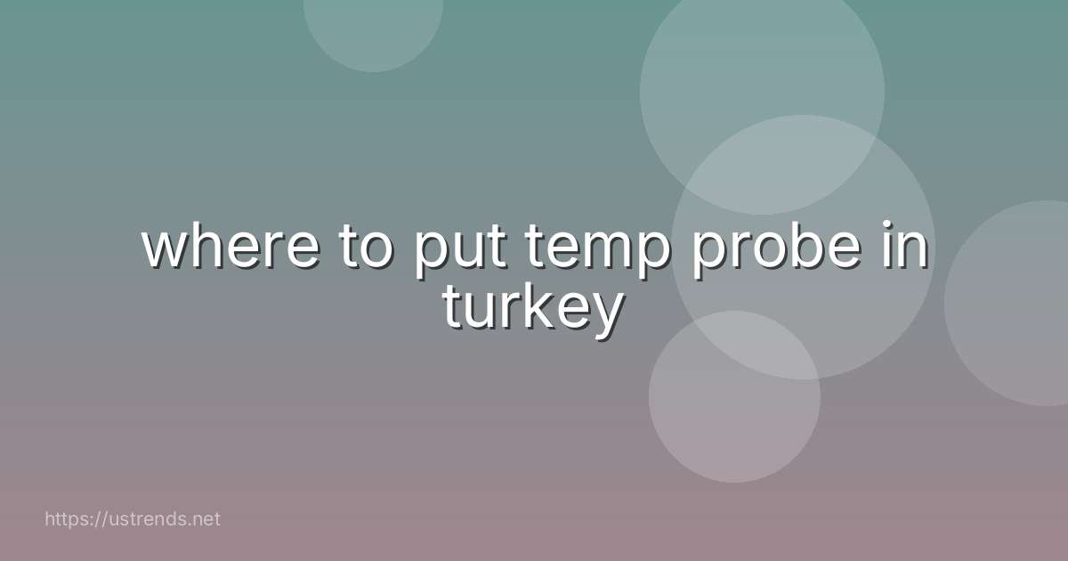where to put temp probe in turkey