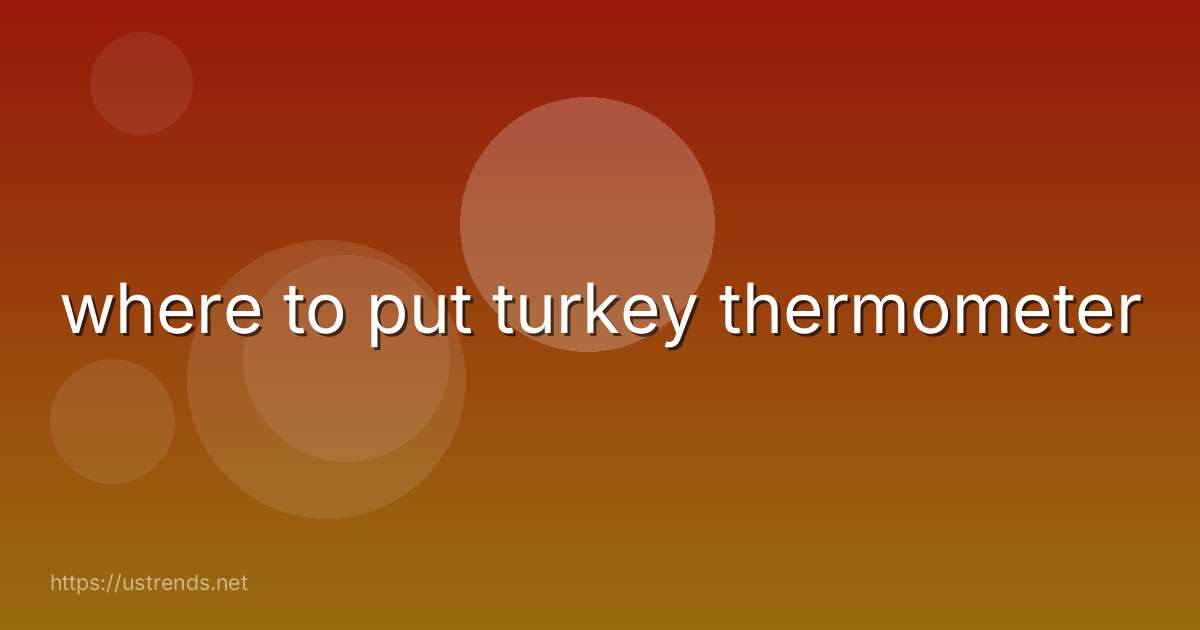 where to put turkey thermometer