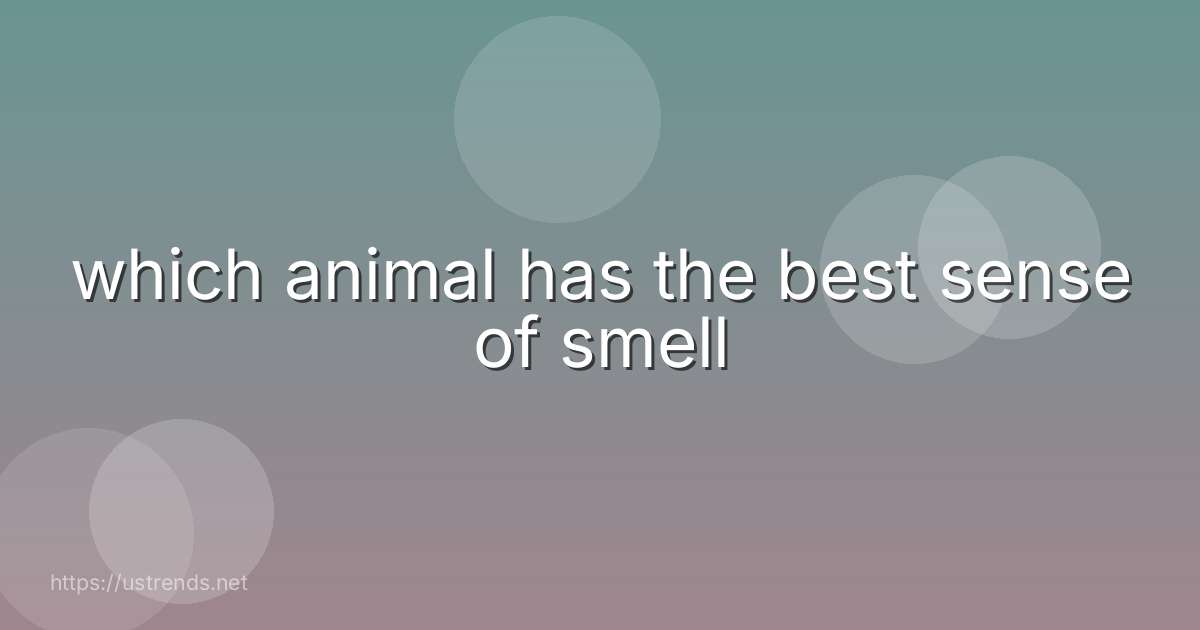 which animal has the best sense of smell