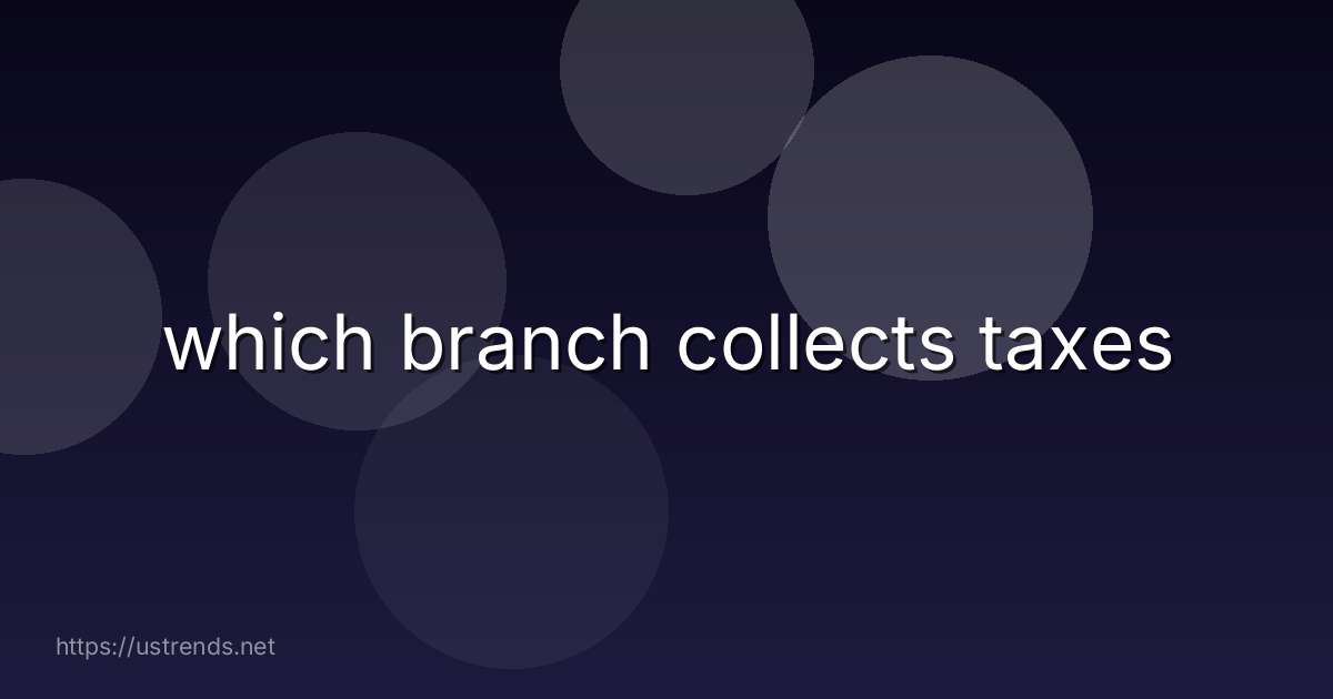 which branch collects taxes