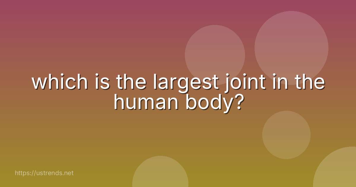 which is the largest joint in the human body?