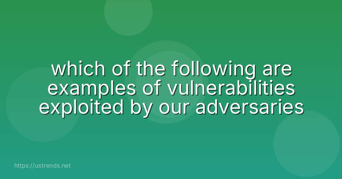 which of the following are examples of vulnerabilities exploited by our adversaries