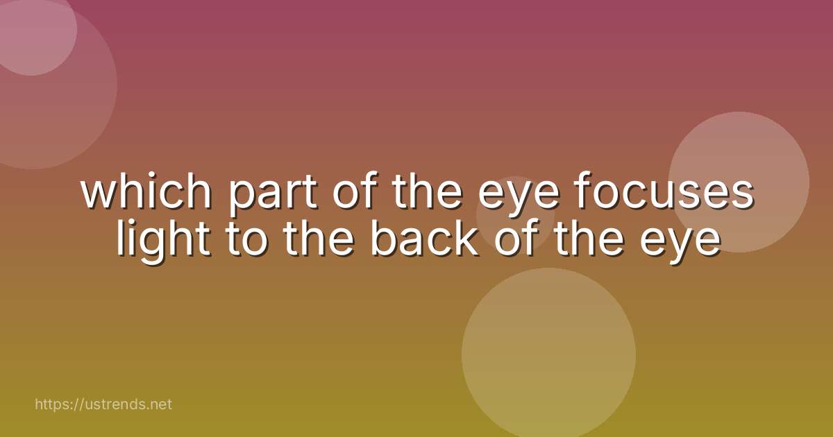 which part of the eye focuses light to the back of the eye