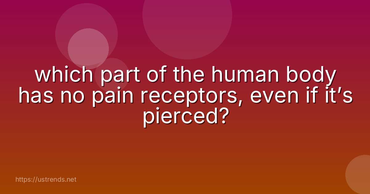 which part of the human body has no pain receptors, even if it’s pierced?