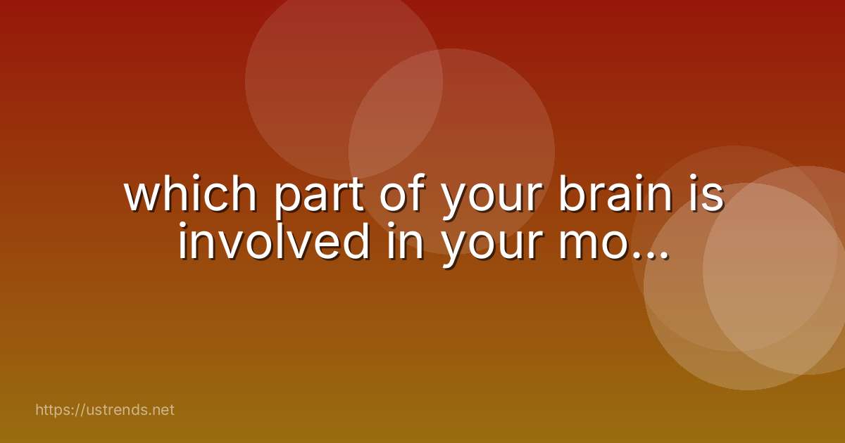 which part of your brain is involved in your mo...