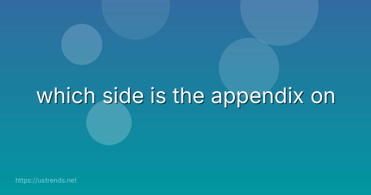 which side is the appendix on
