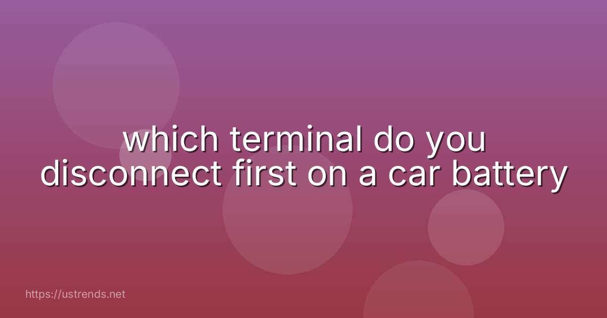 which terminal do you disconnect first on a car battery