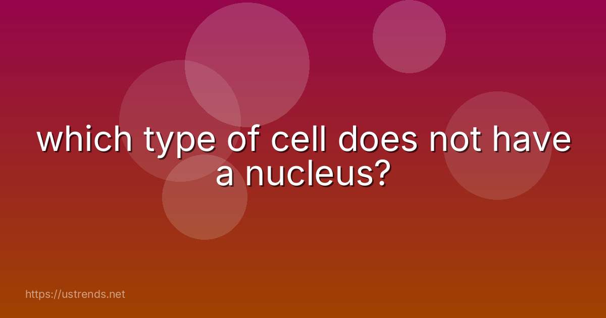 which type of cell does not have a nucleus?