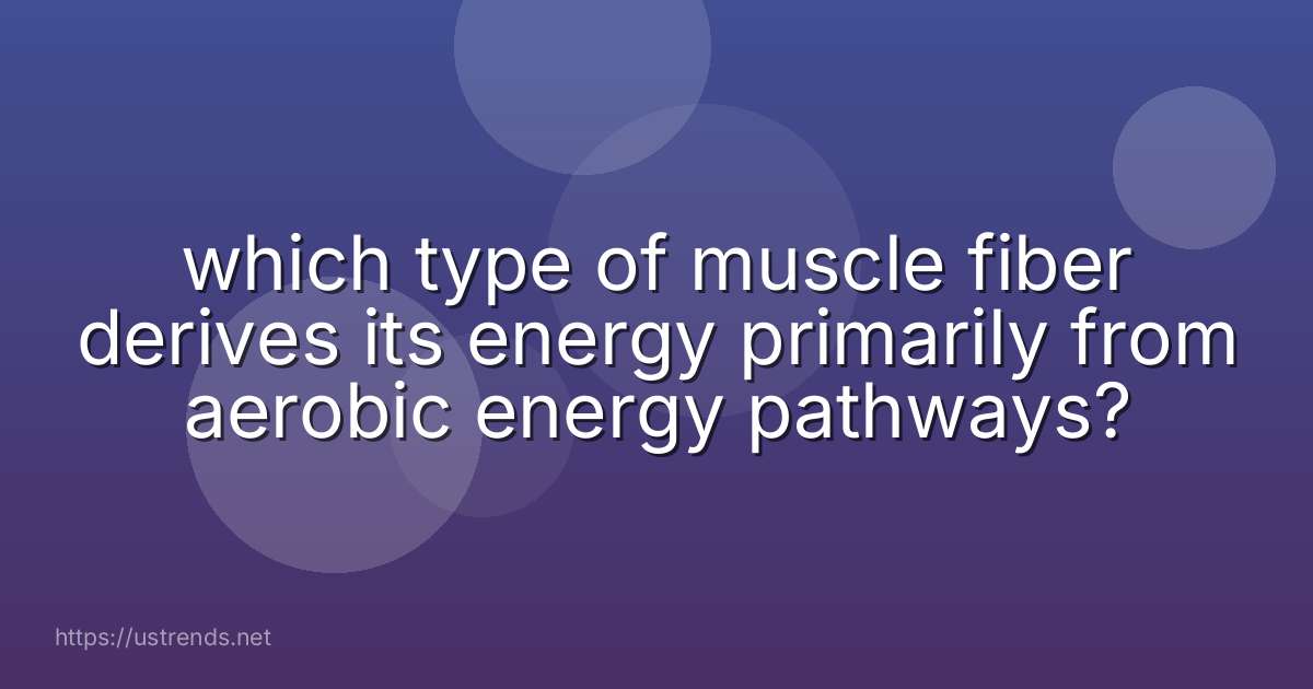 which type of muscle fiber derives its energy primarily from aerobic energy pathways?