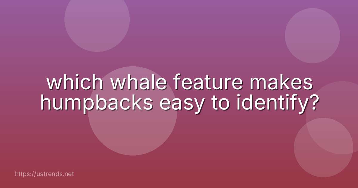 which whale feature makes humpbacks easy to identify?