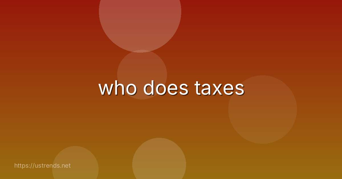 who does taxes