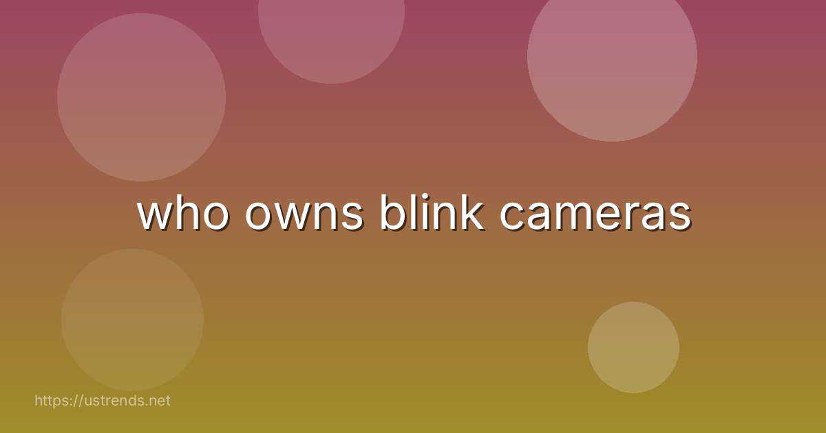 who owns blink cameras