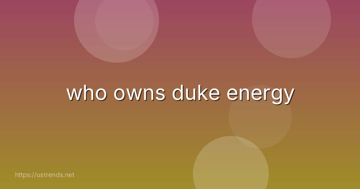 who owns duke energy