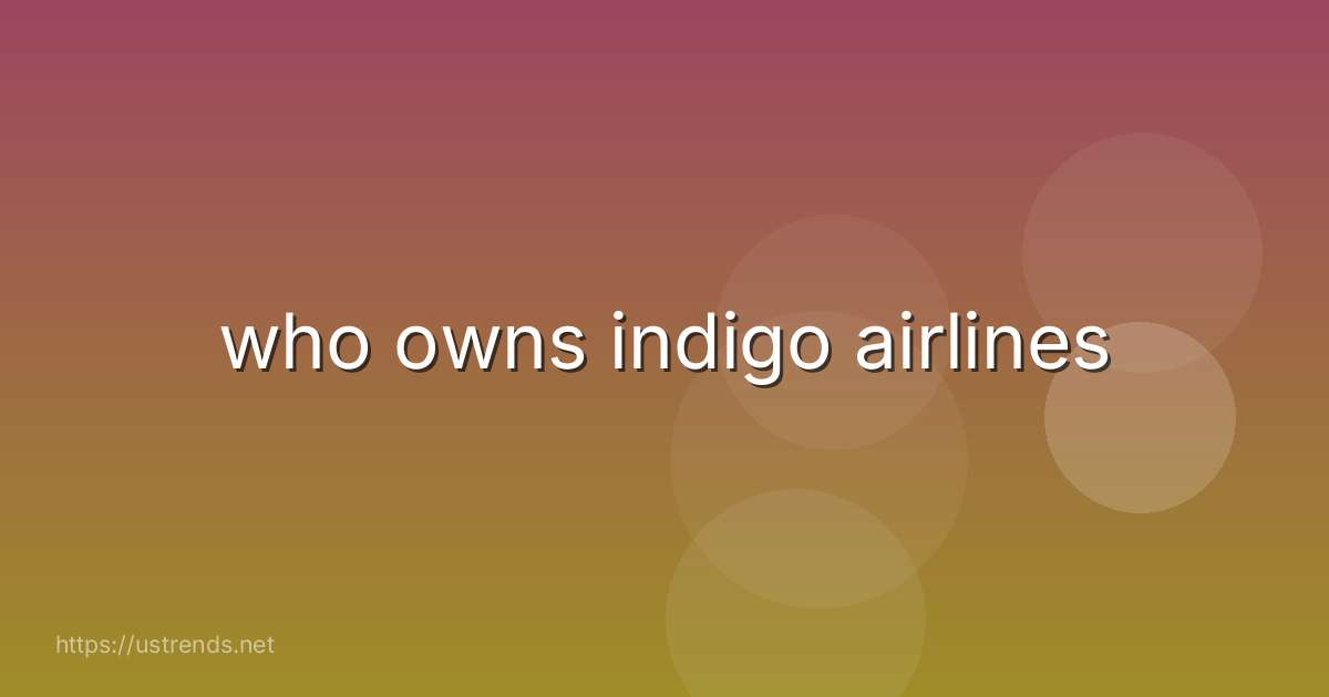 who owns indigo airlines