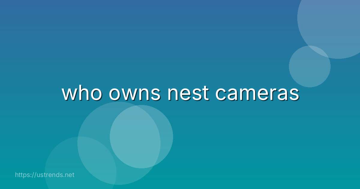 who owns nest cameras