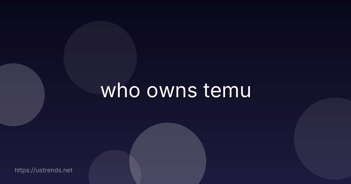 who owns temu