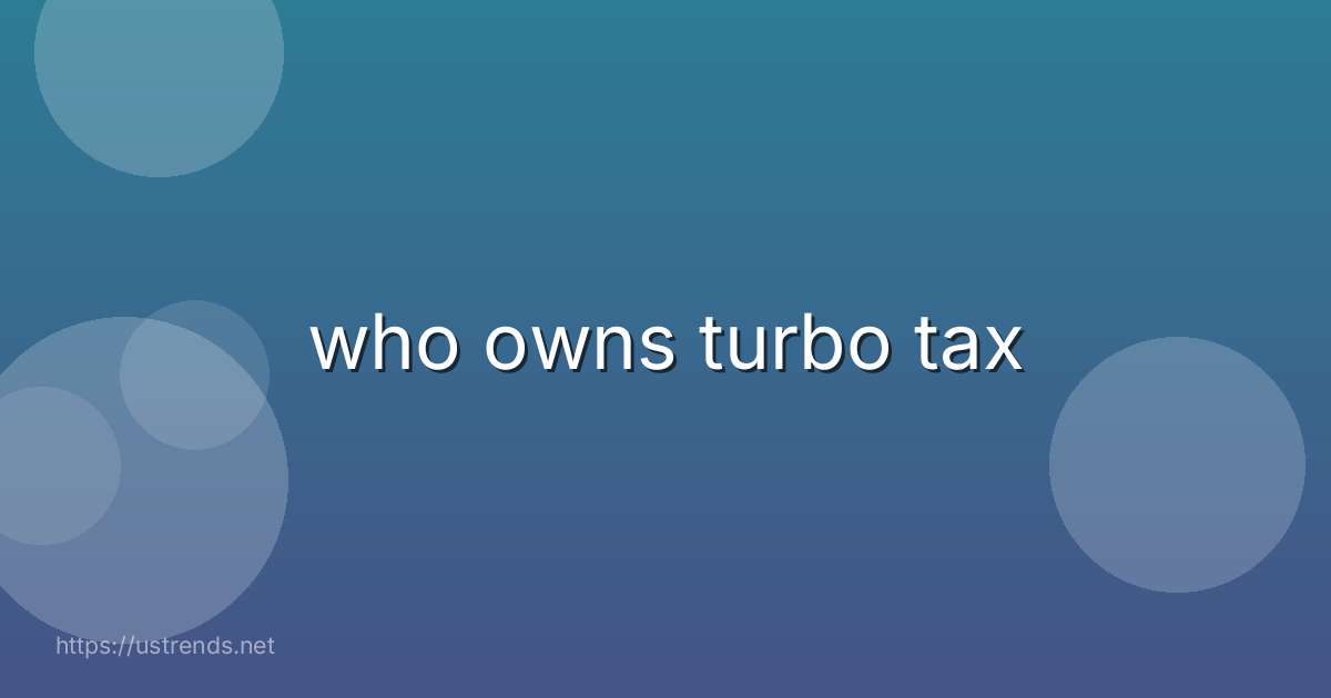 who owns turbo tax