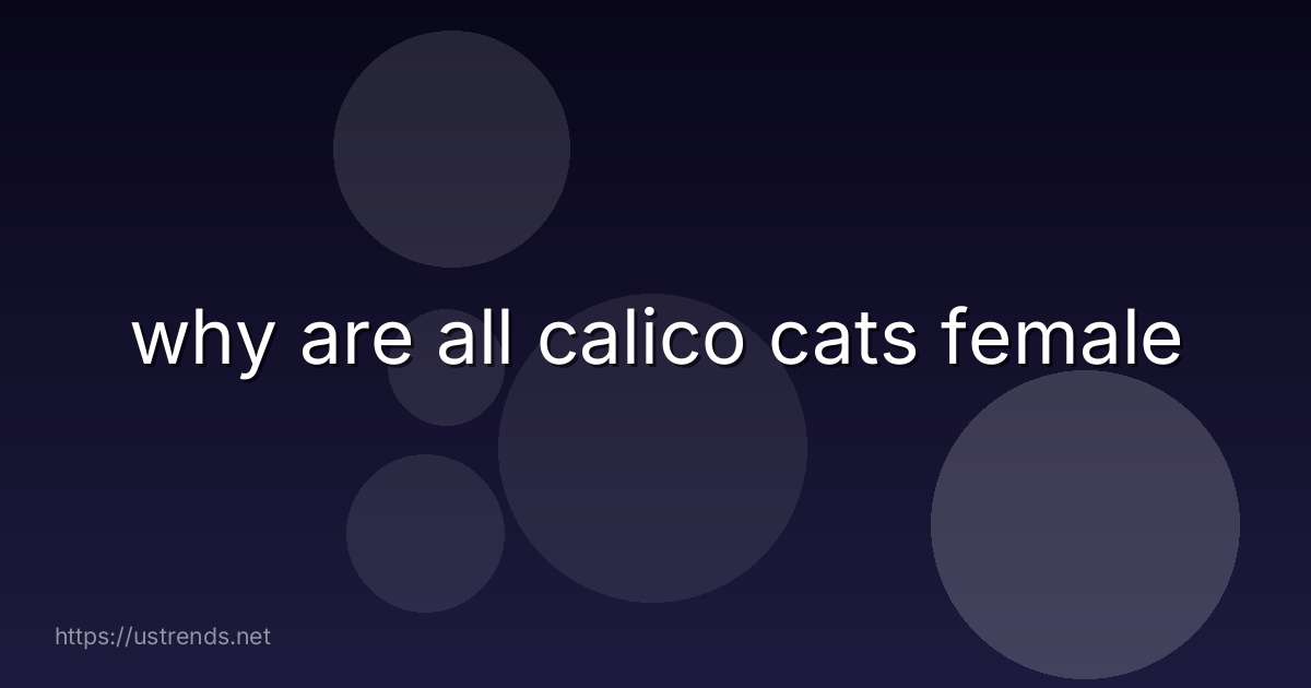 why are all calico cats female