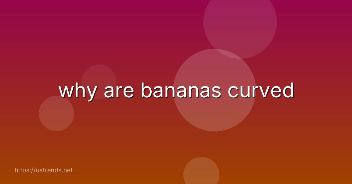why are bananas curved