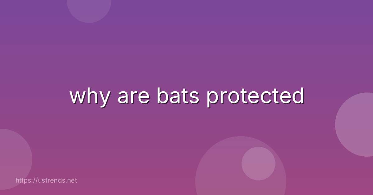 why are bats protected