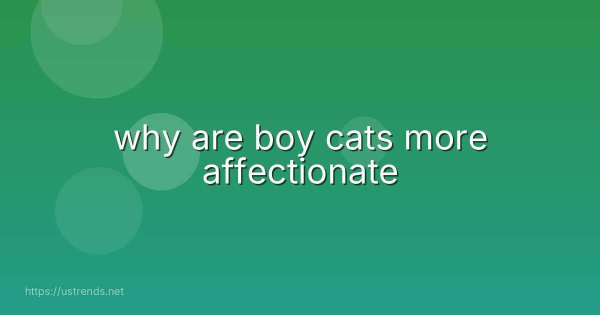 why are boy cats more affectionate
