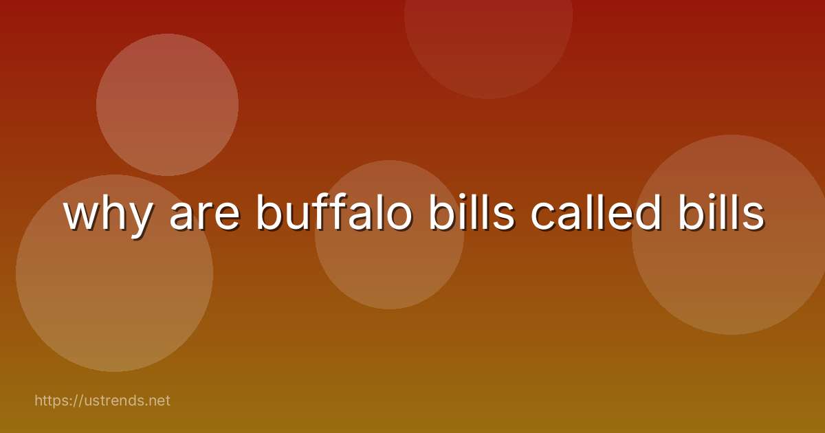why are buffalo bills called bills