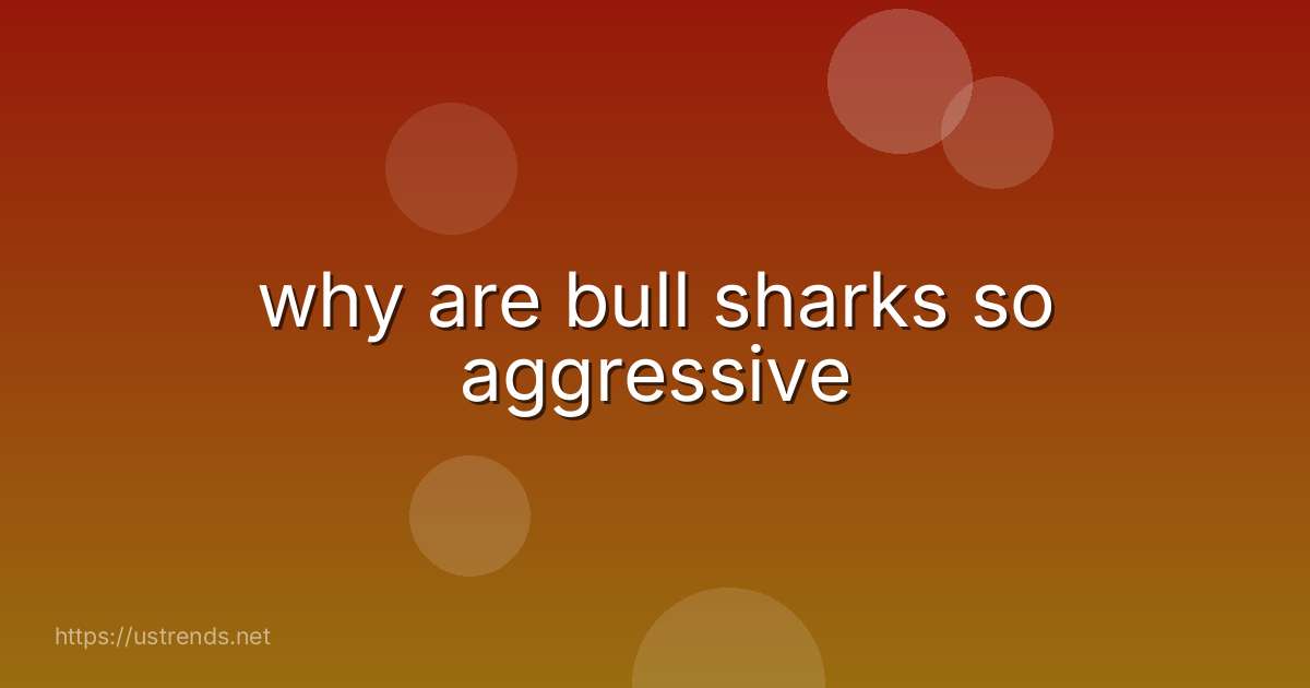 why are bull sharks so aggressive
