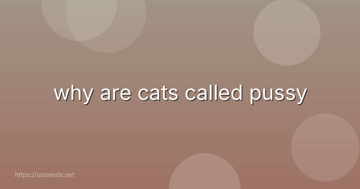 why are cats called pussy