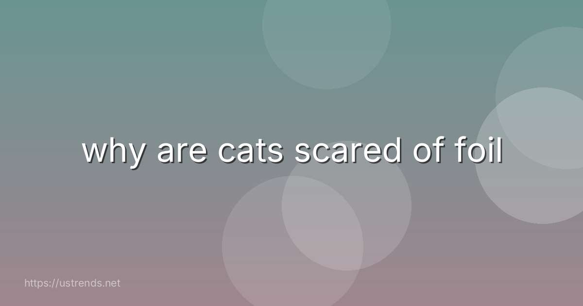 why are cats scared of foil