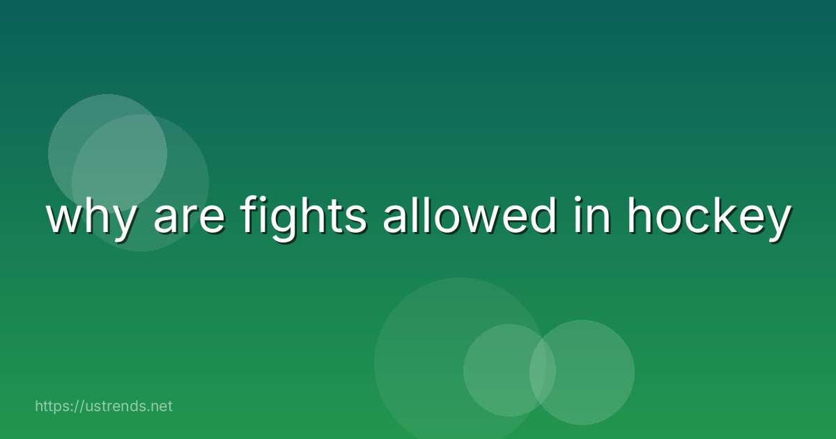 why are fights allowed in hockey