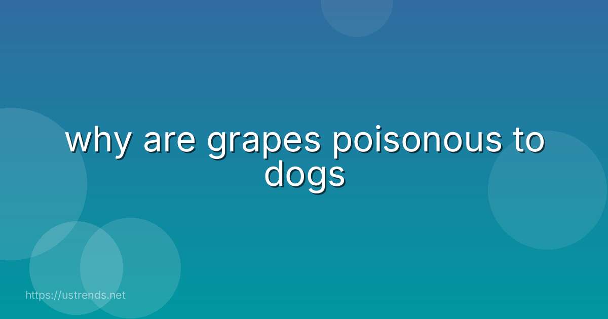 why are grapes poisonous to dogs