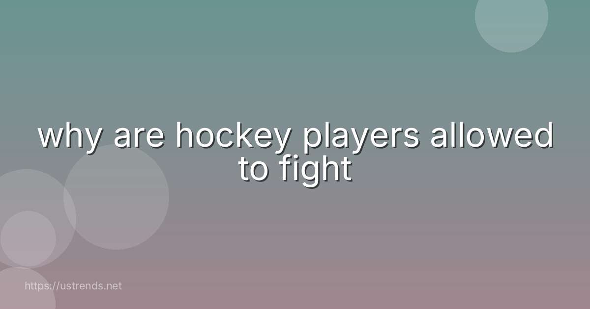 why are hockey players allowed to fight