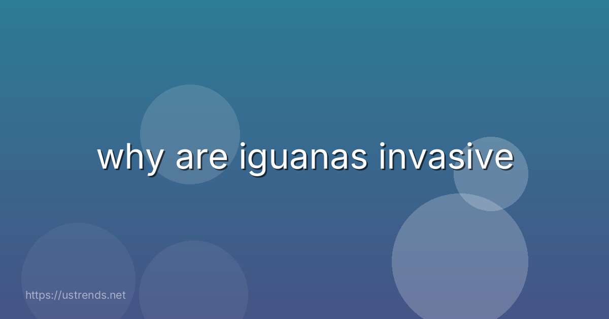 why are iguanas invasive