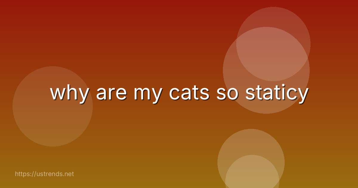 why are my cats so staticy