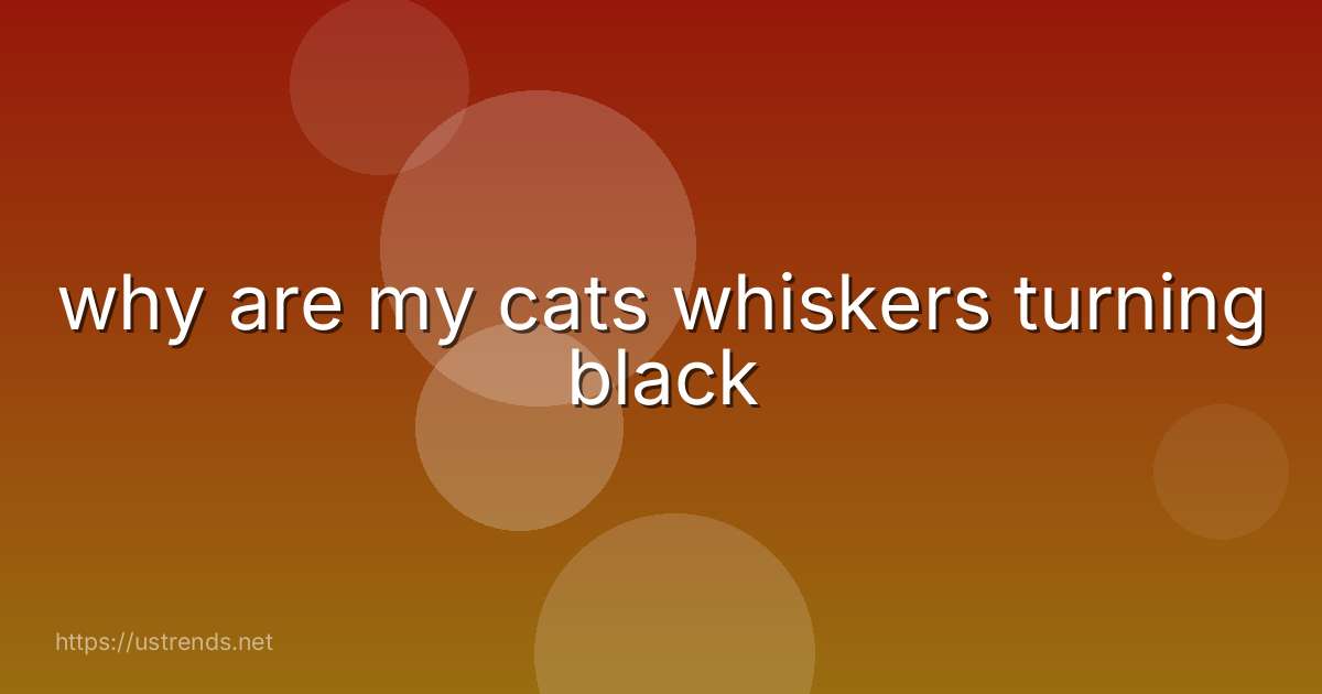 why are my cats whiskers turning black