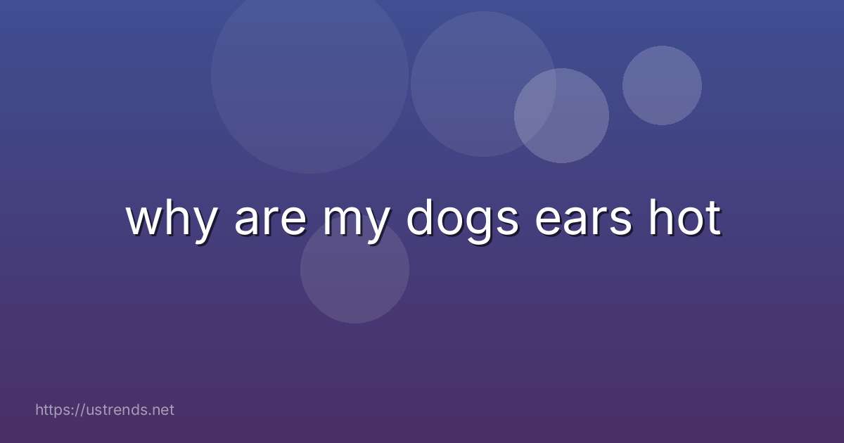 why are my dogs ears hot